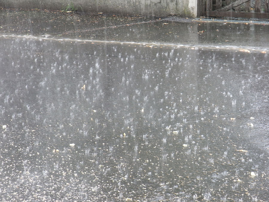 Vorhersage: Tiefdruckgebiet bringt viel Regen am Wochenende