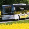 30 Jahre WanderBus – Jubiläumstour am 3. Mai
