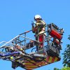 Mauersegler aus Notlage befreit – Tierrettung mit Drehleiter