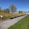 Landesgartenschau bietet am sofort Feierabend-Ticket an