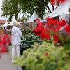 Landesgartenschau in Leinefelde verschenkt Ernte vom Stadtacker